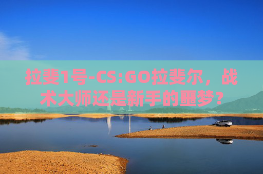 拉斐1号-CS:GO拉斐尔，战术大师还是新手的噩梦？