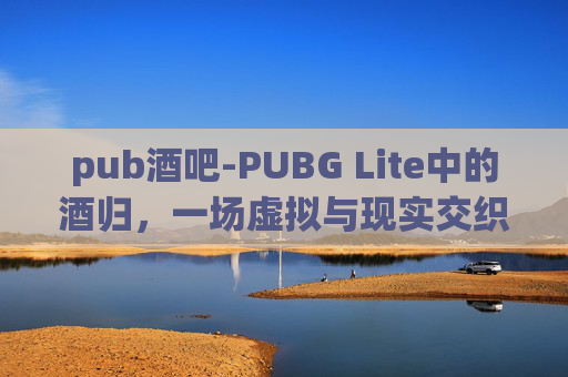 pub酒吧-PUBG Lite中的酒归,一场虚拟与现实交织的冒险 pub酒吧-PUBG Lite中的酒归,一场虚拟与现实交织的冒险