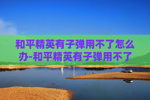 和平精英有子弹用不了怎么办-和平精英有子弹用不了？探索游戏内隐藏的奥秘