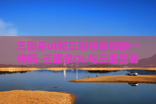 三国杀ol和三国杀暑假版一样吗-三国杀OL与三国杀暑假版，两款游戏的特色比较