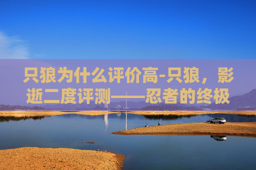 只狼为什么评价高-只狼,影逝二度评测——忍者的终极挑战 只狼为什么评价高-只狼,影逝二度评测——忍者的终极挑战