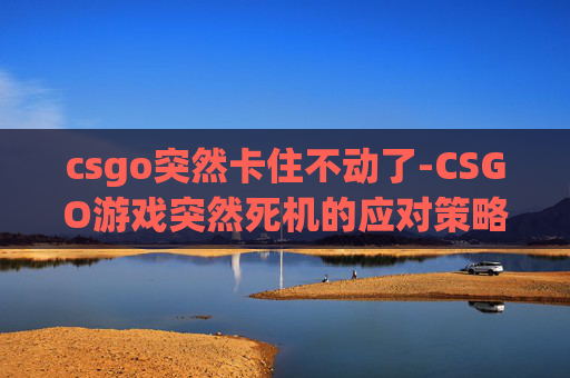 csgo突然卡住不动了-CSGO游戏突然死机的应对策略