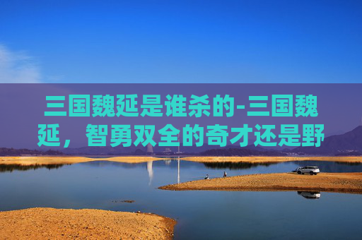三国魏延是谁杀的-三国魏延，智勇双全的奇才还是野心勃勃的祸端？