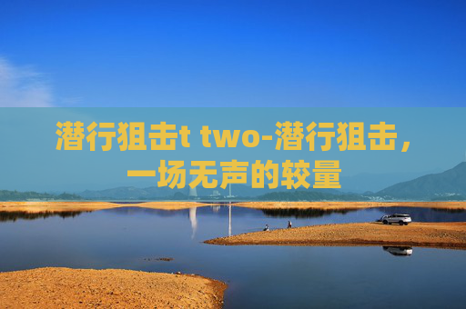 潜行狙击t two-潜行狙击，一场无声的较量