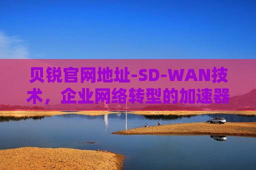 贝锐官网地址-SD-WAN技术，企业网络转型的加速器