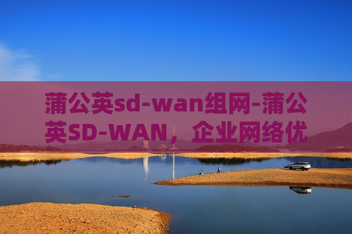 蒲公英sd-wan组网-蒲公英SD-WAN，企业网络优化的革新之路