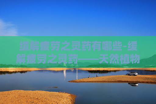 缓解疲劳之灵药有哪些-缓解疲劳之灵药——天然植物的神奇力量