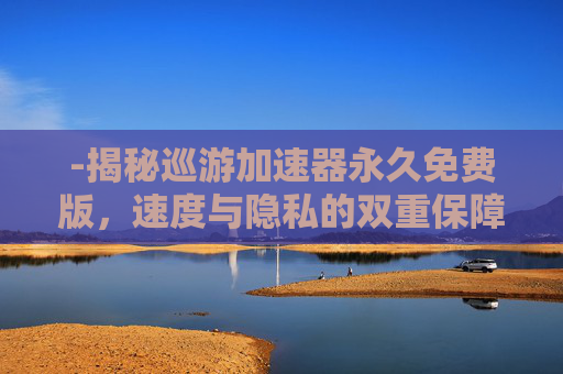 -揭秘巡游加速器永久免费版，速度与隐私的双重保障