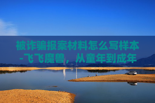 被诈骗报案材料怎么写样本-飞飞魔兽，从童年到成年的奇幻旅程