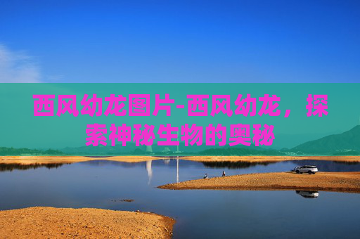 西风幼龙图片-西风幼龙，探索神秘生物的奥秘