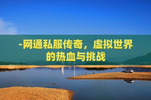 -网通私服传奇，虚拟世界的热血与挑战
