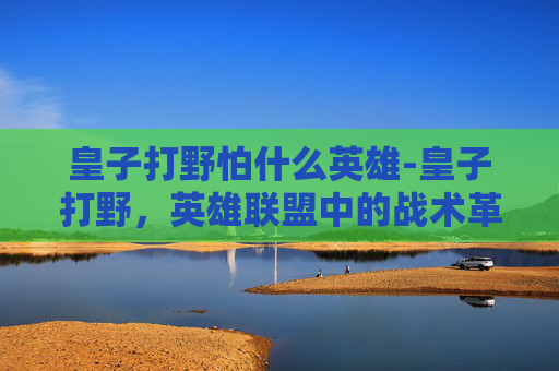 皇子打野怕什么英雄-皇子打野，英雄联盟中的战术革新与团队协作的典范