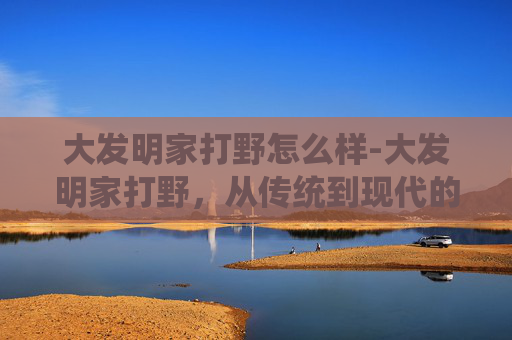 大发明家打野怎么样-大发明家打野，从传统到现代的野战策略演进