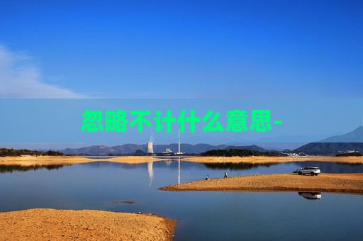 忽略不计什么意思-