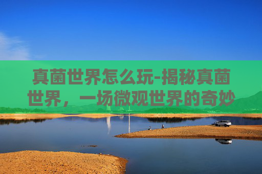 真菌世界怎么玩-揭秘真菌世界,一场微观世界的奇妙探险 真菌世界怎么玩-揭秘真菌世界,一场微观世界的奇妙探险