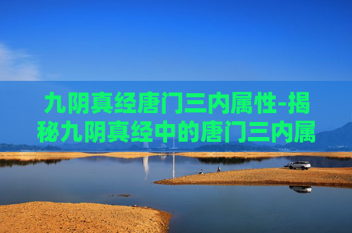 九阴真经唐门三内属性-揭秘九阴真经中的唐门三内属性，内功心法与实战应用