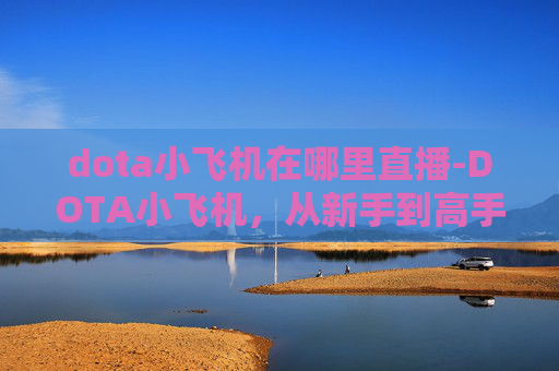 dota小飞机在哪里直播-DOTA小飞机，从新手到高手的必经之路