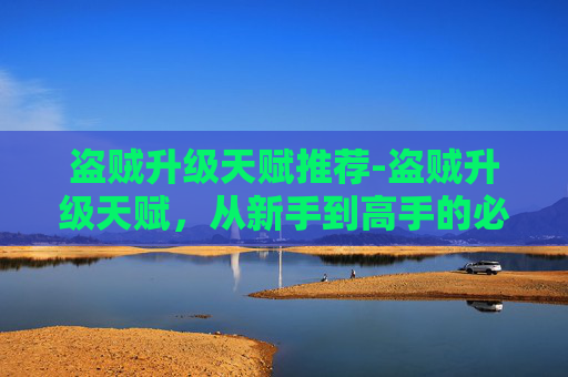 盗贼升级天赋推荐-盗贼升级天赋，从新手到高手的必修之路