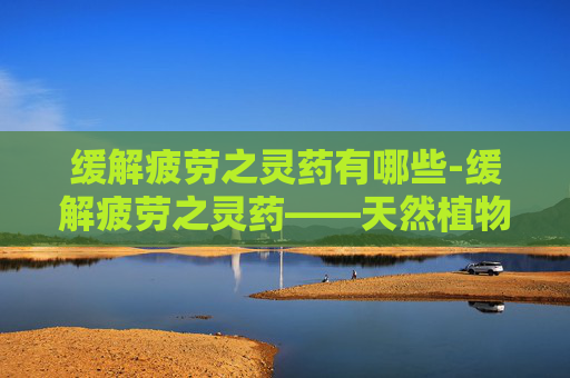 缓解疲劳之灵药有哪些-缓解疲劳之灵药——天然植物的神奇力量