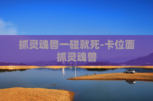 抓灵魂兽一碰就死-卡位面抓灵魂兽
