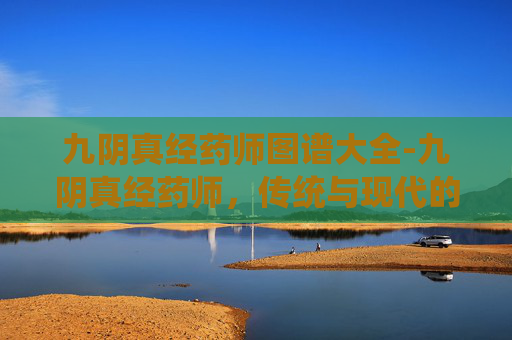 九阴真经药师图谱大全-九阴真经药师，传统与现代的交融