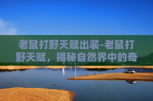 老鼠打野天赋出装-老鼠打野天赋，揭秘自然界中的奇观
