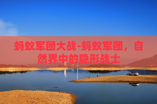 蚂蚁军团大战-蚂蚁军团，自然界中的隐形战士