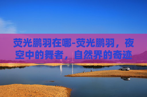 荧光鹏羽在哪-荧光鹏羽,夜空中的舞者,自然界的奇迹 荧光鹏羽在哪-荧光鹏羽,夜空中的舞者,自然界的奇迹