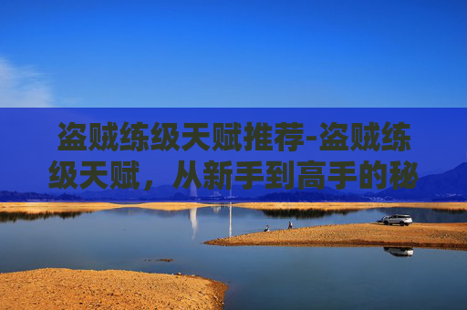 盗贼练级天赋推荐-盗贼练级天赋，从新手到高手的秘诀