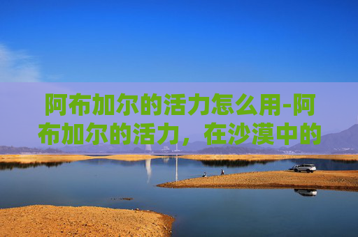 阿布加尔的活力怎么用-阿布加尔的活力，在沙漠中的生命力展现