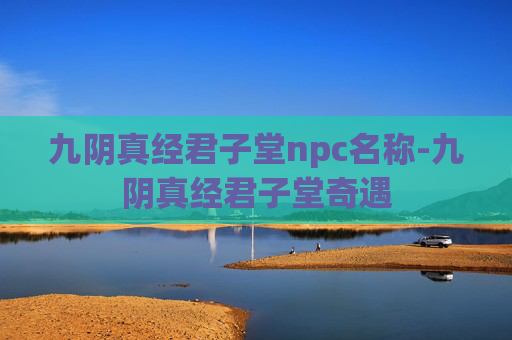 九阴真经君子堂npc名称-九阴真经君子堂奇遇