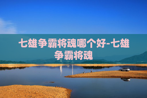 七雄争霸将魂哪个好-七雄争霸将魂